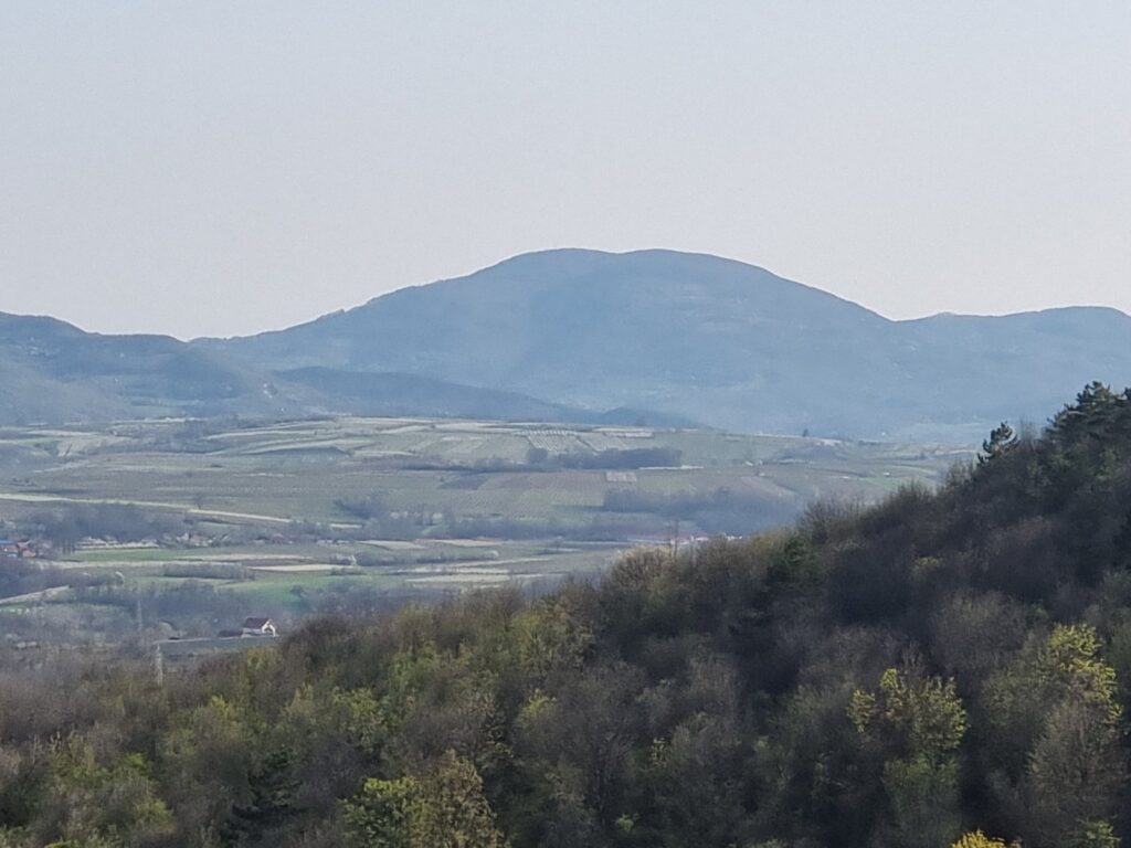 viber-slika-2026-04-12-19-42-29-707