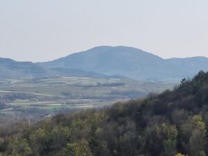 viber-slika-2026-04-12-19-42-29-707